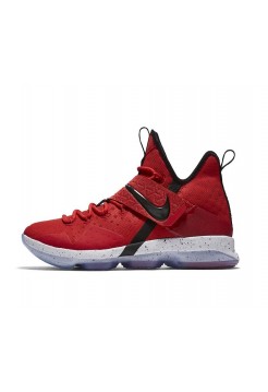 LeBron 14